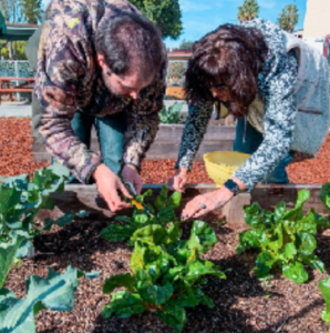Special needs adult gardening with teacher